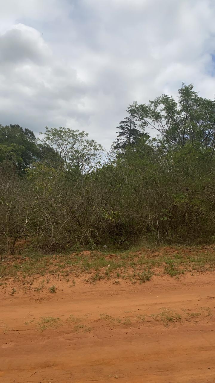 0 Bedroom Property for Sale in Bathurst Eastern Cape